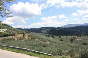 View Collepino Spello